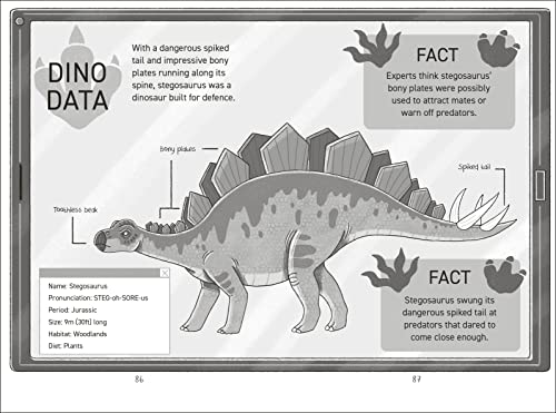Dinosaur Club: Saving the Stegosaurus - Retail Maharaj
