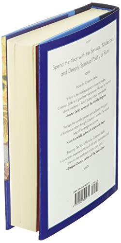 YEAR WITH RUMI - Retail Maharaj