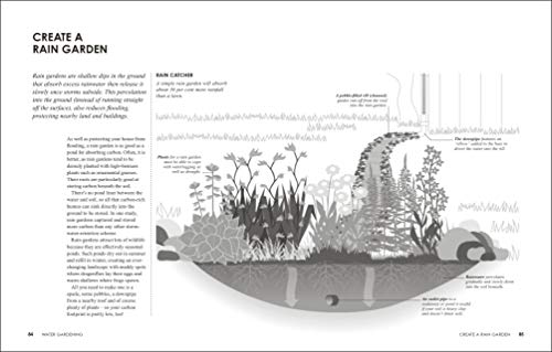 RHS How to Garden the Low-carbon Way: The Steps You Can Take to Help Combat Climate Change - Retail Maharaj