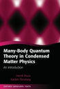 Many-Body Quantum Theory in Condensed Matter Physics - Retail Maharaj
