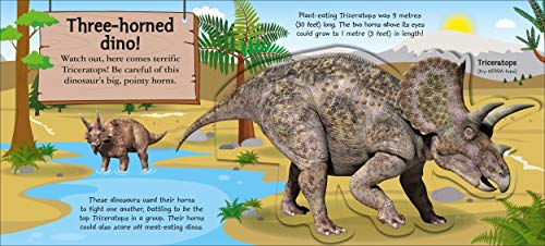 My Terrific Dinosaur Book - Retail Maharaj