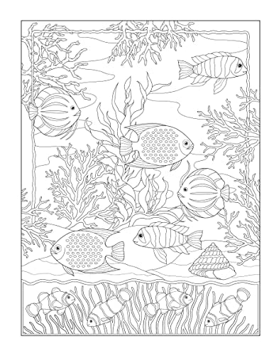 Creative Haven Tropical Wonders Coloring Book