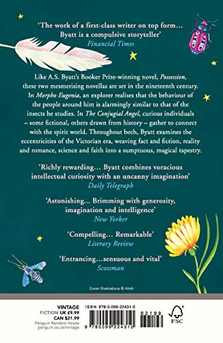 Angels And Insects - Retail Maharaj