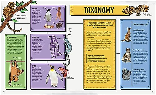 Robert Winston: The Story of Science: How Science and Technology Changed the World - Retail Maharaj