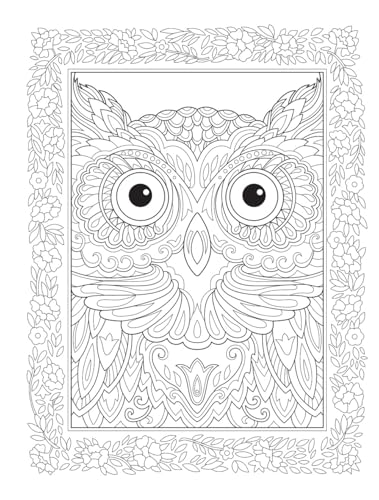 Creative Haven Birds and Blossoms Coloring Book - Retail Maharaj