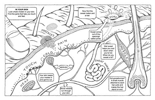 My First Human Body Book