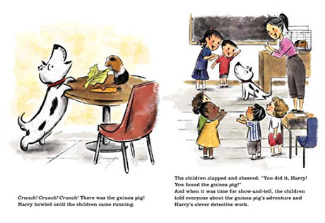 Harry and the Guinea Pig - Retail Maharaj