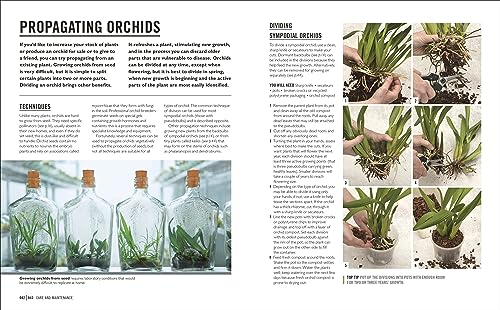 Grow Orchids: Essential Know-how and Expert Advice for Gardening Success - Retail Maharaj