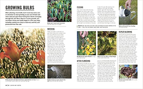Grow Bulbs: Essential Know-how and Expert Advice for Gardening Success - Retail Maharaj