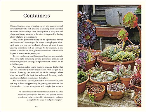 Down to Earth - Retail Maharaj