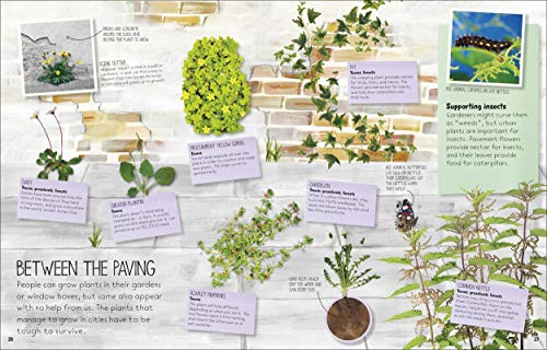 Nature Spotter - Retail Maharaj