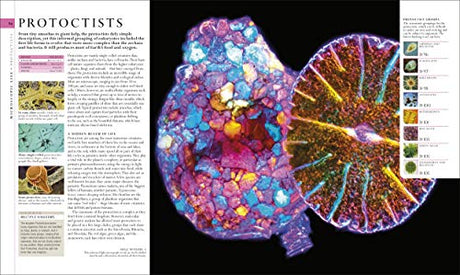 The Natural History Book: The Ultimate Visual Guide to Everything on Earth (DK Definitive Visual Encyclopedias) - Retail Maharaj