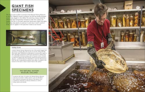 Behind the Scenes at the Museum: Your Access-All-Areas Guide to the World's Most Amazing Museums - Retail Maharaj