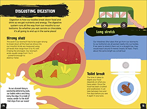 Gross and Ghastly: Human Body: The Big Book of Disgusting Human Body Facts - Retail Maharaj