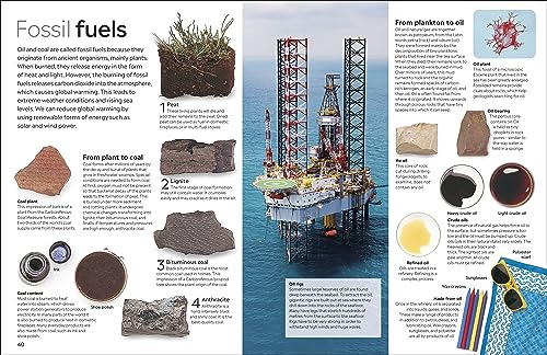 Fossil (Eyewitness) (DK Eyewitness) - Retail Maharaj