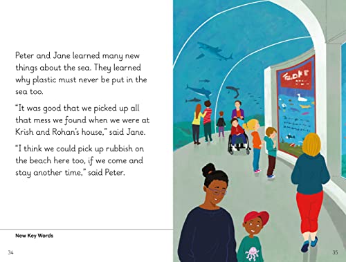 Key Words with Peter and Jane Level 9b – Peter's New Kite - Retail Maharaj