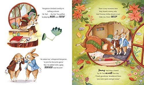 Peter Rabbit: Hide and Seek!: Inspired by Beatrix Potter's iconic character - Retail Maharaj