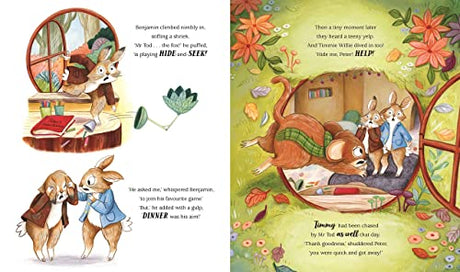 Peter Rabbit: Hide and Seek!: Inspired by Beatrix Potter's iconic character - Retail Maharaj