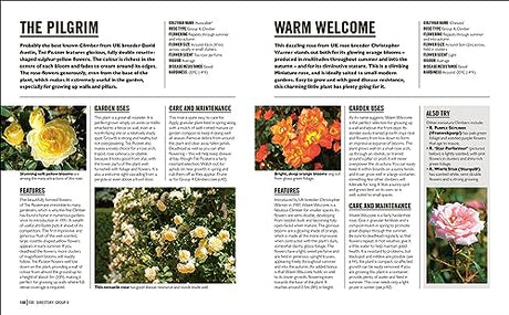 Grow Roses: Essential Know-how and Expert Advice for Gardening Success - Retail Maharaj