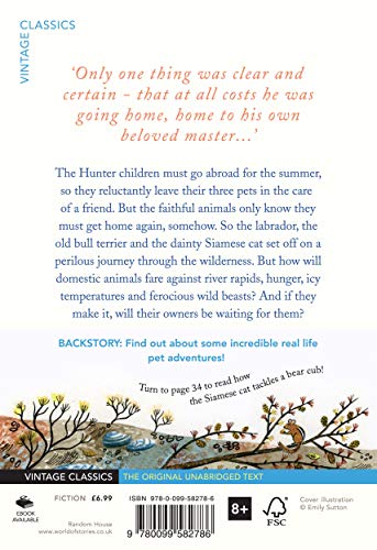 The Incredible Journey - Retail Maharaj