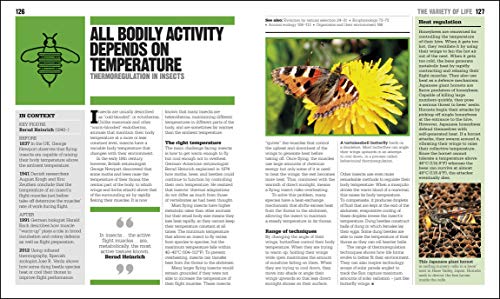 The Ecology Book ( Big Ideas) - Retail Maharaj