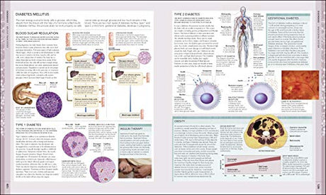 The Human Body Book - Retail Maharaj