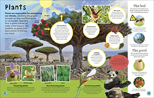 It's a Wonderful World: How to Protect the Planet and Change the Future - Retail Maharaj