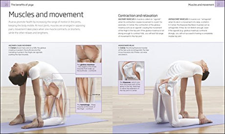 Yoga Your Home Practice Companion - Retail Maharaj