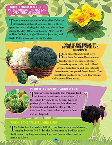 Nature Encyclopedia for Children Age 5 - 15 Years- All About Trivia Questions and Answers - Retail Maharaj