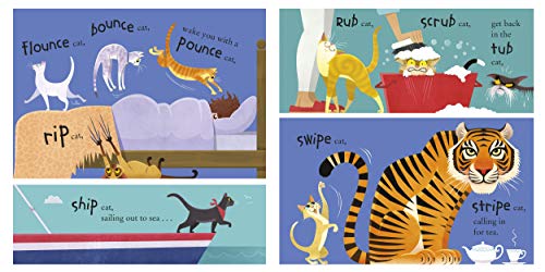 100 Cats - Retail Maharaj