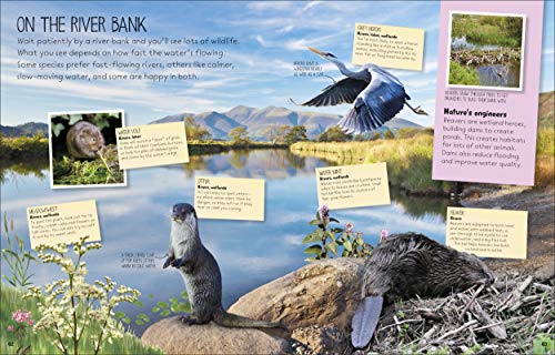 Nature Spotter - Retail Maharaj