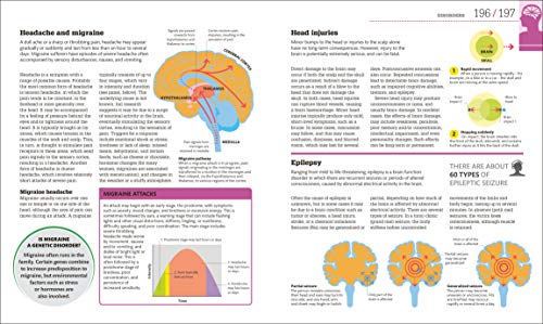 How the Brain Works: The Facts Visually Explained (How Things Work) - Retail Maharaj