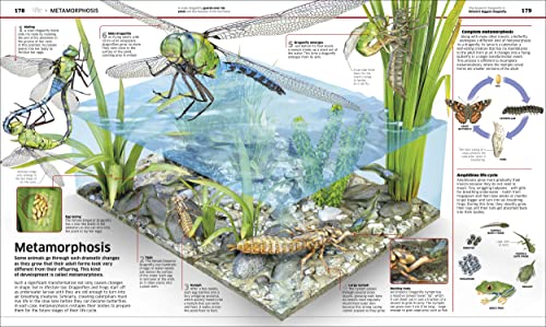 Knowledge Encyclopedia Science! - Retail Maharaj