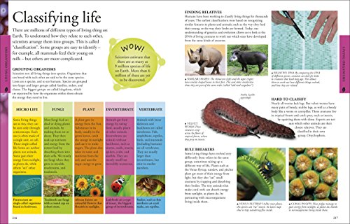 Science - Retail Maharaj