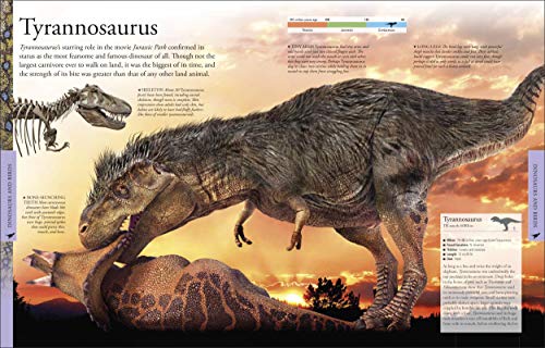 Dinosaurs A Children's Encyclopedia - Retail Maharaj