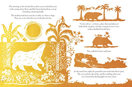 The Bear in the Stars - Retail Maharaj