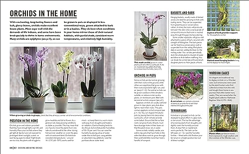 Grow Orchids: Essential Know-how and Expert Advice for Gardening Success - Retail Maharaj