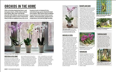 Grow Orchids: Essential Know-how and Expert Advice for Gardening Success - Retail Maharaj