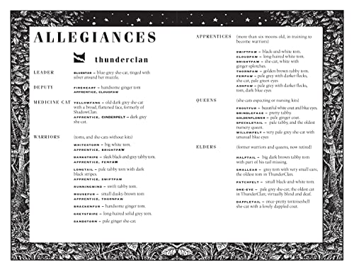 Rising Storm: FOUR CLANS. ONE DESTINY.: Book 4 (Warrior Cats) - Retail Maharaj