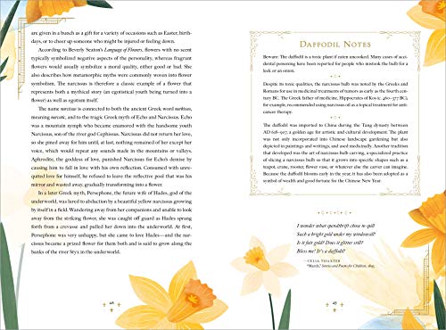 The Language of Flowers - Retail Maharaj