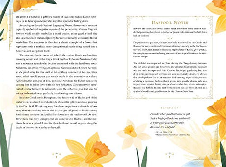 The Language of Flowers - Retail Maharaj