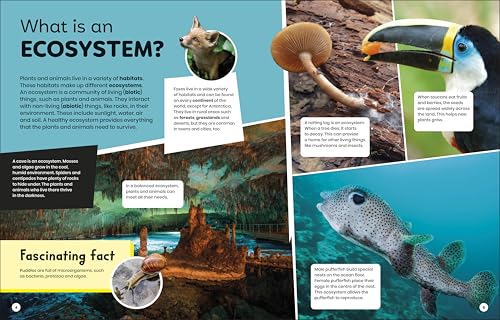 DK Super Planet Essential Ecosystems - Retail Maharaj