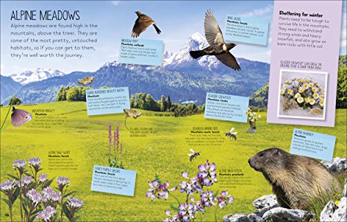 Nature Spotter - Retail Maharaj