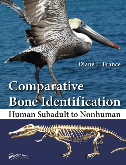 Comparative Bone Identification: Human Subadult to Nonhuman - Retail Maharaj