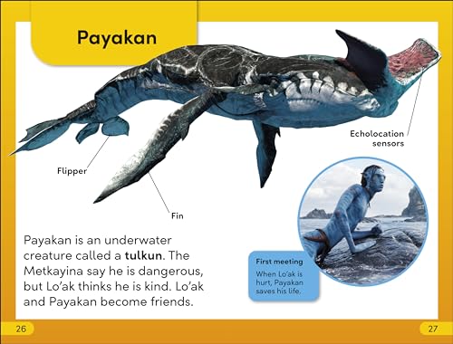 DK Super Readers Level 2 Avatar Sullys Stick Together - Retail Maharaj