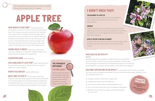 Foraging: The Complete Guide for Kids and Families!: The fun and easy guide to the great outdoors - Retail Maharaj