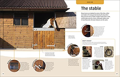 Horses & Ponies: Everything You Need to Know, From Bridles and Breeds to Jodhpurs and Jumping! - Retail Maharaj