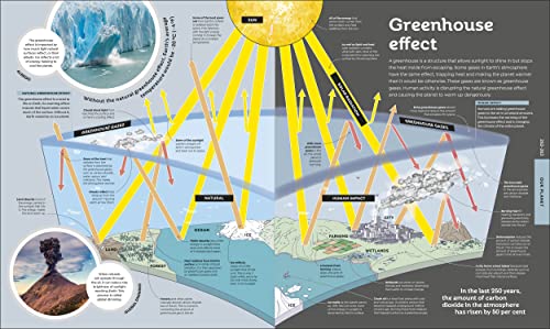 How Everything Works: From Brain Cells to Black Holes - Retail Maharaj