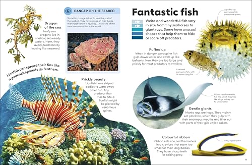 Eyewonder Oceans: Open Your Eyes to a World of Discovery - Retail Maharaj