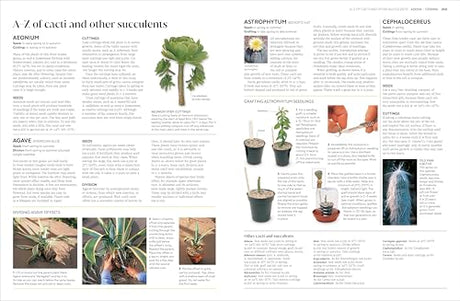 RHS Propagating Plants: How to Grow Plants for Free - Retail Maharaj